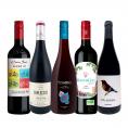  暑い日でも赤が飲みたい 冷蔵庫に入れてこそ美味しい 軽やか赤ワイン wine 5本セット set 