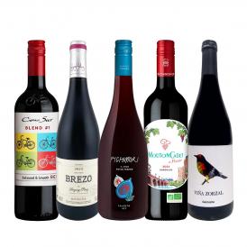  暑い日でも赤が飲みたい 冷蔵庫に入れてこそ美味しい 軽やか赤ワイン wine 5本セット set 