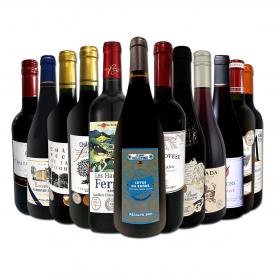  第104弾 当店オススメばかりを厳選したちょっといい赤ワイン wine 12本セット set 人気の各国から厳選 1本当たり1,250円 税込 以下 家飲み パーティー向け 飲 