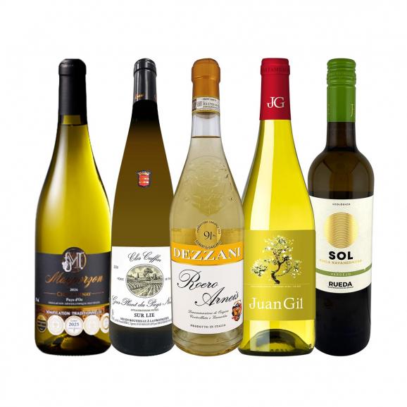  品種とか産地とか難しいことは抜き 素直に美味しい白ワイン wine 5本セット set 01