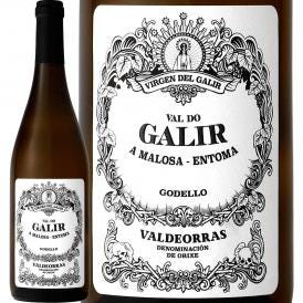 バル・ド・ガリル・ゴデーリョ 2024 スペイン Spain 白ワイン wine 750ml 辛口 ガリシア バルデオラス ゴデージョ グリーン・スペイン Spain 冷涼 クネ CVNE