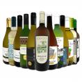  第120弾 当店オススメばかりを厳選したちょっといい白ワイン wine 12本セット set 