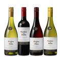 カッシェロ・デル・ディアブロ ワイン wine 王国5つ星 獲得4本セット set カベルネ・ソーヴィニヨン ピノ・ノワール シャルドネ chardonnay ヴィオニエ