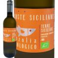 コステ・シチリアーネ・インツォリア・ビオロジコ 白ワイン wine 750ml シチリア オーガニック ビオロジコ ビオ EUオーガニック認証 インツォリア100% 辛 