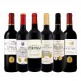  第300弾 全て金賞受賞 キング・オブ・金メダル 極旨ボルドー bordeaux 赤ワイン wine 6本セット set 