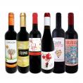 スペイン Spain 全土の地ワイン wine 満喫 スペイン Spain おうちバル赤ワイン wine 6本セット set
