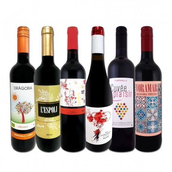 スペイン Spain 全土の地ワイン wine 満喫 スペイン Spain おうちバル赤ワイン wine 6本セット set 01