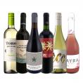 コスパ最強級の満足感 チリ・アルゼンチンのワイン wine 6本 毎日飲んでも飲み飽きないバラエティ豊かな品種違い