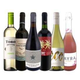  コスパ最強級の満足感 チリ・アルゼンチンのワイン wine ６本 毎日飲んでも飲み飽きないバラエティ豊かな品種違い 