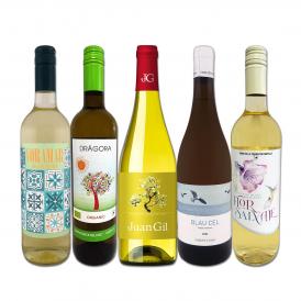  目からウロコ スペイン Spain 白ワイン wine の いま は超激旨 スペイン Spain おうちバル白ワイン wine 5本セット set 