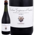  訳あり ランブルスコ Lambrusco ガヴィオリ・ランブルスコ Lambrusco ・グラスパロッサ・ディ・カステルヴェトロ・アマービレ