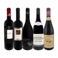  当店ベストセラーばかり 赤ワイン wine だけ リッチな贅沢ワイン wine 5本セット set 