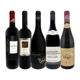  当店ベストセラーばかり 赤ワイン wine だけ リッチな贅沢ワイン wine 5本セット set 