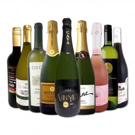  お客様のお声から作られた待望のちょっといいワイン wine 9本セット set 