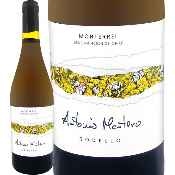 アントニオ・モンテロ・ゴデーリョ 2024 スペイン Spain 白ワイン wine 750ml 辛口 ガリシア モンテレイ ゴデージョ グリーン・スペイン Spain 冷涼 ボデ 01