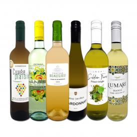  第240弾 当店厳選 極旨白ワイン wine 白ワイン wine を存分に楽しむ 味わい深いスーパーセレクト白6本 