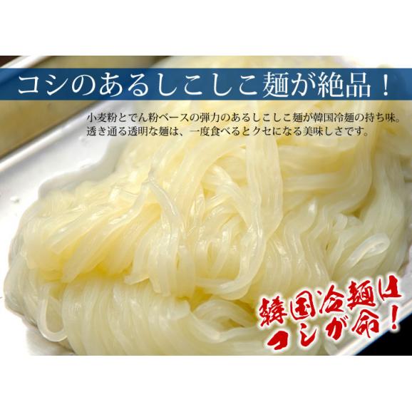 【4月25日以降発送】韓国冷麺10食セット　プロが選ぶ業務用の本格派！【常温・冷蔵・冷凍可】【送料無料】＃8　03