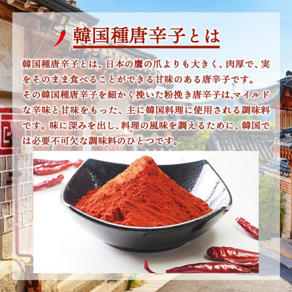 【常温・冷蔵・冷凍可】料理用唐辛子（粉びき）　２００ｇ03