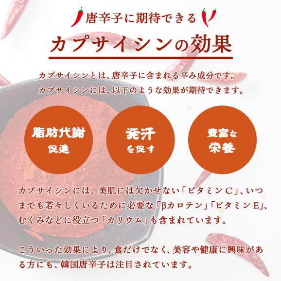 【常温・冷蔵・冷凍可】料理用唐辛子（粉びき）　２００ｇ04