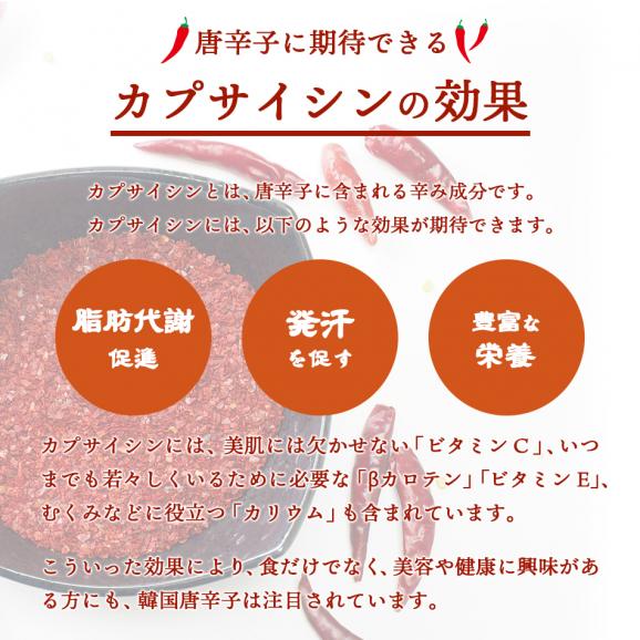 【常温・冷蔵・冷凍可】料理用唐辛子（粗びき）　２００ｇ04