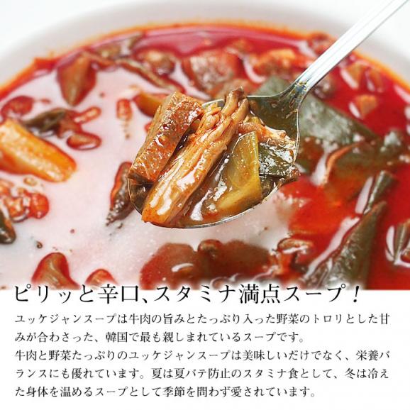 プロが選んだ・辛口ビーフユッケジャン１ｋｇ×３袋セット（一袋 約2～3人前）【常温・冷蔵可】【送料無料】※賞味期限2025年11月14日＃803