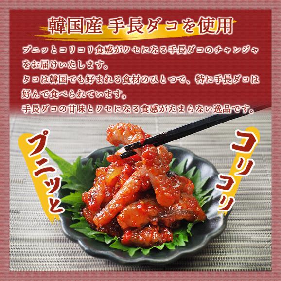 タコチャンジャ60g　クール冷蔵便 ＃802