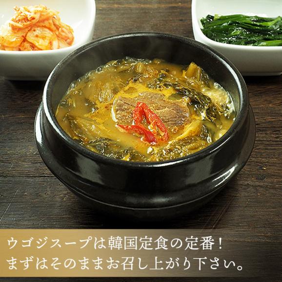 ウゴジスープ500g（約2人前） 野菜タップリ味噌汁【常温・冷蔵可】 ＃804