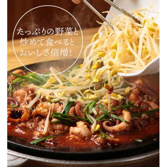 イイダコの辛口コチュジャン炒め・チュクミポックム300gと白菜キムチ250gと韓国麺のセット ピビム麺 ビビン麺 ビビム麺 冷麺 【冷凍便限定】 #803