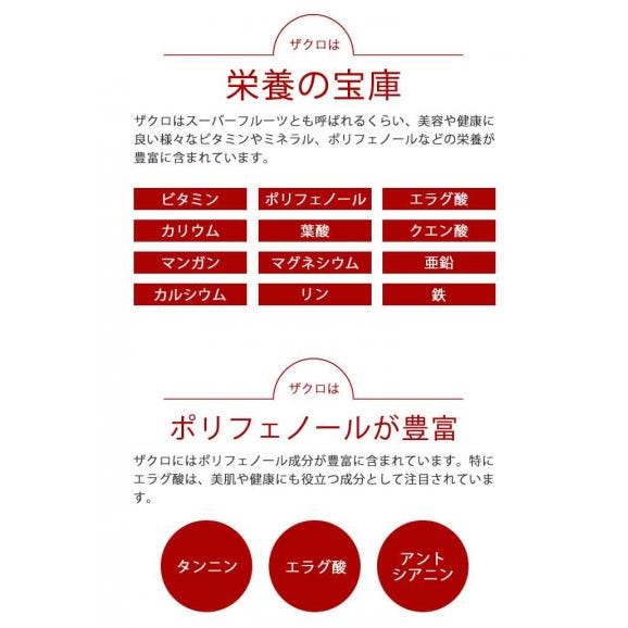 J's赤いザクロゼリー 600g（20g×30包）常温便・クール冷蔵便可　送料無料　ザクロゼリー ざくろ04