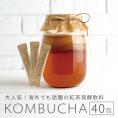 KOMBUCHA コンブチャ 粉末200g(5g×40包)  常温便・クール冷蔵便・冷凍便可　紅茶キノコ　紅茶きのこ 【箱潰れ訳アリ品】#8