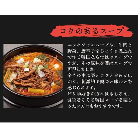 韓国うどんユッケジャンスープ味10食セット 麺は1玉170gとボリューム満点!(うどん170g×10玉、濃縮スープ10袋)【常温・冷蔵・冷凍可】【送料無料】#804