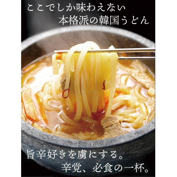 韓国うどんユッケジャンスープ味10食セット 麺は1玉170gとボリューム満点!(うどん170g×10玉、濃縮スープ10袋)【常温・冷蔵・冷凍可】【送料無料】#805