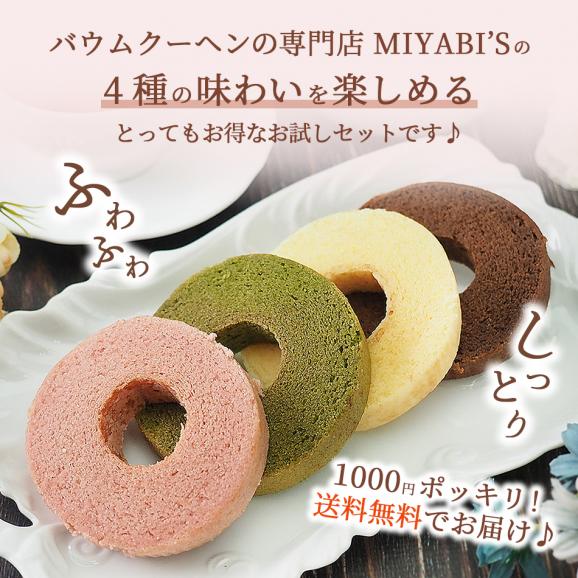 MIYABI'S  バウムクーヘン カット4種類詰め合わせ やさしい自然な甘さ、ふわふわしっとり食感のバームクーヘン 送料無料 メール便 他商品と同梱不可 ギフト包装不可 日時指定不可 #8 100102