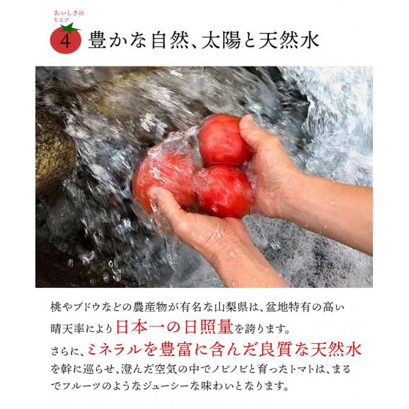 ヨダファーム まるごとトマト塩糀200g 【常温・冷蔵可】【賞味期限2024年2月21日】05