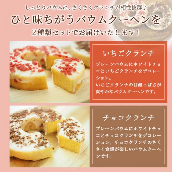 MIYABI′S  バウムクーヘン 【デコバウム2種6個入り】やさしい自然な甘さ、ふわふわしっとり食感のバームクーヘン スイーツ 母の日 父の日 冷蔵便 送料無料 3001 #8 03