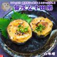 京の匠「こづち」賀茂なす田楽 白味噌味 京料理 賀茂なす 賀茂茄子 茄子 茄子の女王 なすの女王 田楽 味噌田楽 味噌 みそ 加藤みそ 加藤味噌 西陣 銀閣寺 白味噌  京都 こづち 冷凍便限定