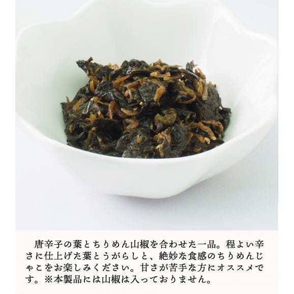 京の匠「こづち」葉とうがらしちりめん（70g） 京料理 ちりめん山椒 ちりめん ちりめんじゃこ 葉とうがらし 葉唐辛子銀閣寺 京都 こづち 常温便 冷蔵便・冷凍便可04