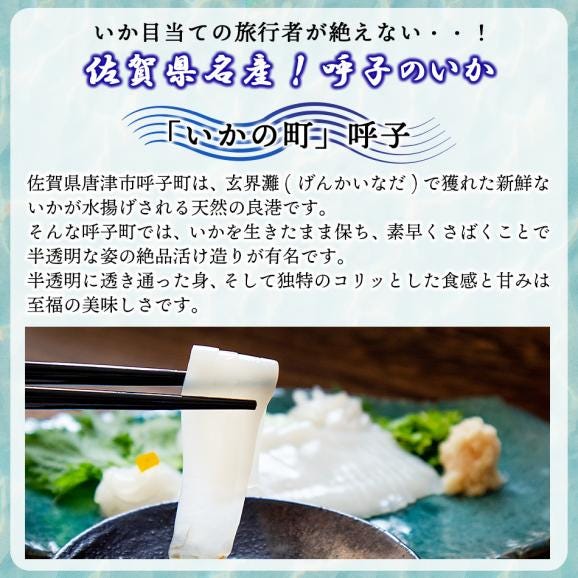 呼子剣先いか姿造り（S1サイズ）×1P 呼子のイカ 【冷凍便限定】02