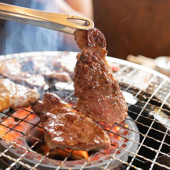焼肉の街！大阪鶴橋 秘伝のタレ漬け焼肉 たっぷり500g  BBQにも最適 国産牛バラ 焼き肉 【冷凍便】＃802