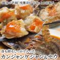 韓国老舗の味をお届け！韓国飛鷹島灯台家のカンジャンケジャンとセウジャンのセット（カニ1杯約350g・シロアシエビ5尾約180g・秘伝のタレ200g）＃8