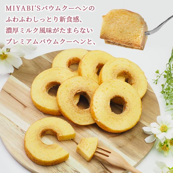 MIYABI'S  バウムクーヘン 【カットバウムと焼き菓子17個セット】 5033 #802