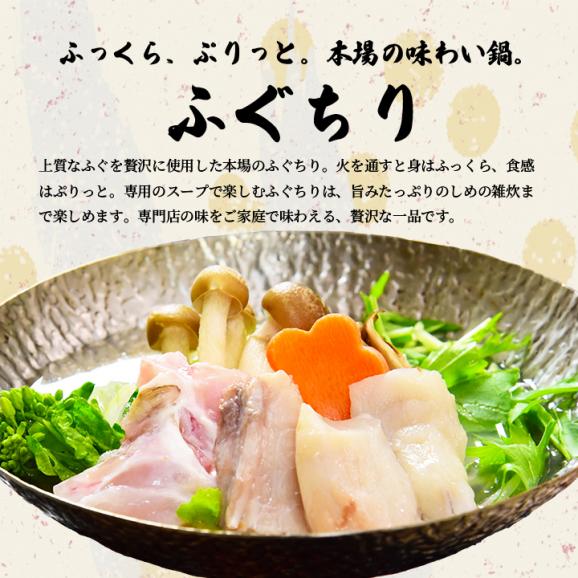 【FR-100F13Z】とらふく料理セット　お歳暮　冷凍便【送料無料・代引き／同梱不可】＃805