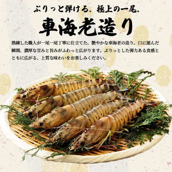 【FSC-E100F3Z】とらふく・車海老刺身とふくちりの福満喫セット お歳暮 お中元 ギフト 贈り物　冷凍便【送料無料・代引き／同梱不可】＃805