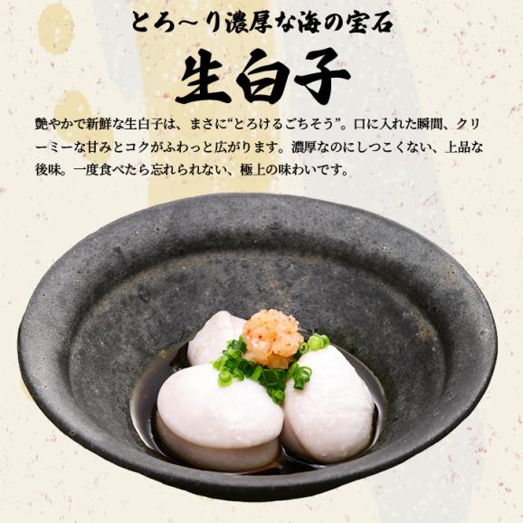 【TBQ-100F8Z】とらふくちり生白子付 お歳暮 お中元 ギフト 贈り物 冷凍便【送料無料・代引き/同梱不可】#804