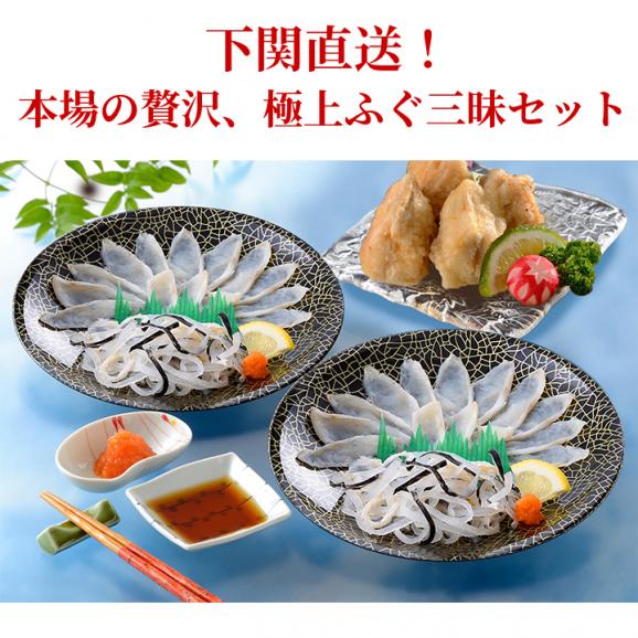 【NSK-50F2Z】ふく薄造り・ふく唐揚げ（油調済）セット お歳暮 お中元 ギフト 贈り物 冷凍便【送料無料・代引き／同梱不可】#806