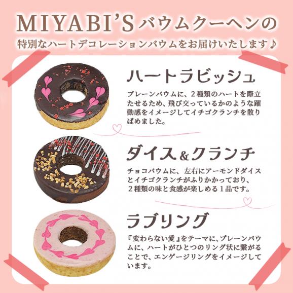 MIYABI'S  バウムクーヘン  【ハートデコ6種セット】 バームクーヘン スイーツ バレンタイン ホワイトデー 母の日 父の日  【ギフト・贈答用にもおすすめ】3004 #8 02