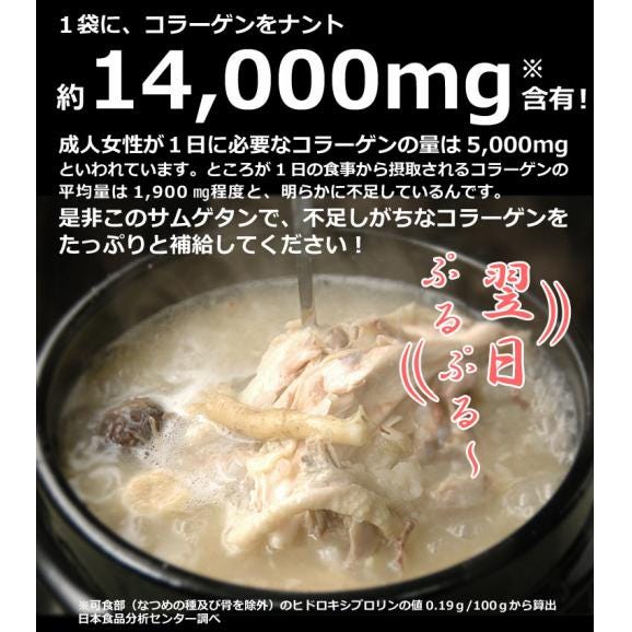 韓国宮廷料理・参鶏湯（サムゲタン）1kg×６袋　サンゲタン【常温・冷蔵可】【送料無料】 ※賞味期限2026年1月5日＃802