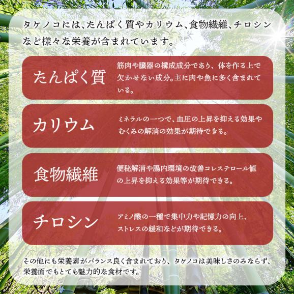 タケノコキムチ250g  たけのこ 筍【冷蔵限定】＃803