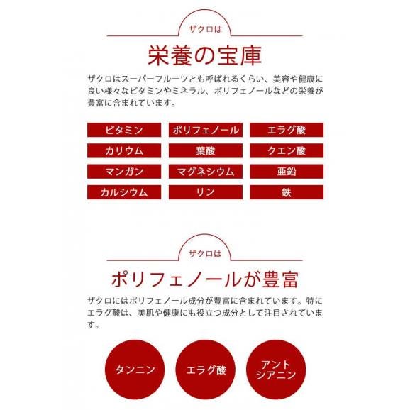 【賞味期限2025年9月19日】J's赤いザクロゼリー 800g（20g×40包）ざくろ 箱なしのワケアリ品 メール便 送料無料04