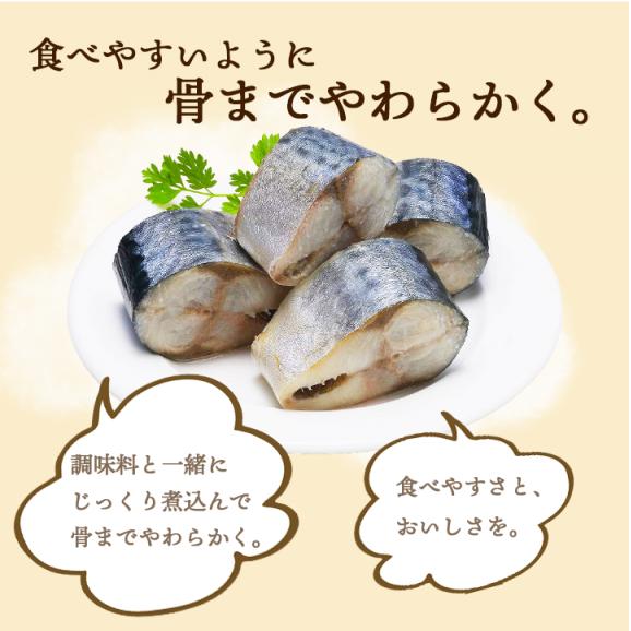 北海道産 さばの味噌煮120g  【常温便・クール冷蔵便】＃802